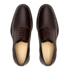 Sapato Social Easy Oxford Jerez Café