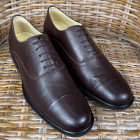Sapato Social Easy Oxford Jerez Café