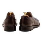 Sapato Social Wholecut Oxford Basco Café